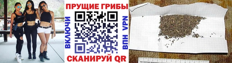 Купить закладки  Пласт  Галлюциногенные грибы мицелий 